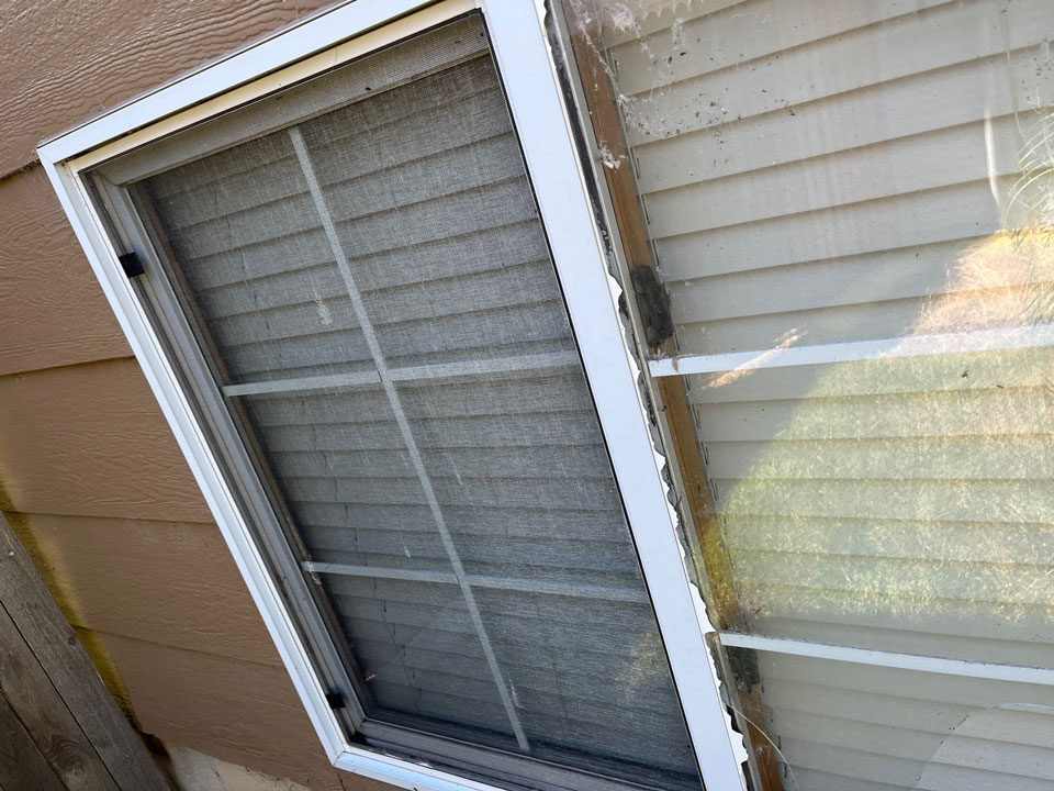 Greeley-Window-Replacement - Custom Exteriors, LLC Damage to the Frame and Glazing Bead