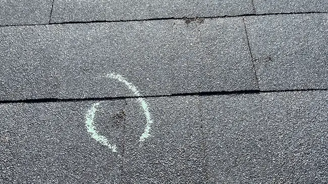 Hail damage shingles - Custom Exteriors, LLC Roof Damage Hail